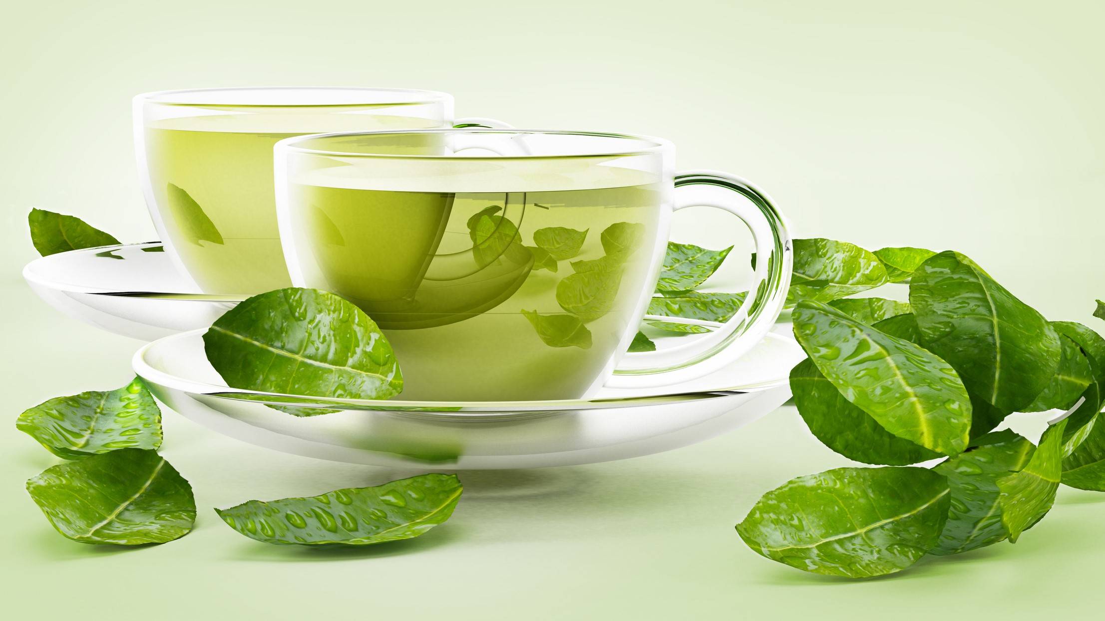 Green Tea Extract for Metabolism and Weight: What the Clinical Evidence Shows