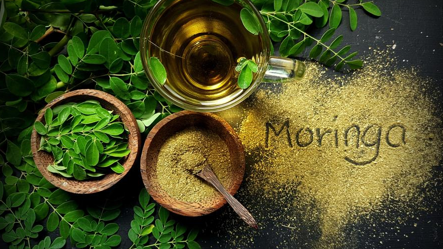 Moringa in Asian Traditional Medicine: Ancient Wisdom from Sri Lanka, India and Beyond