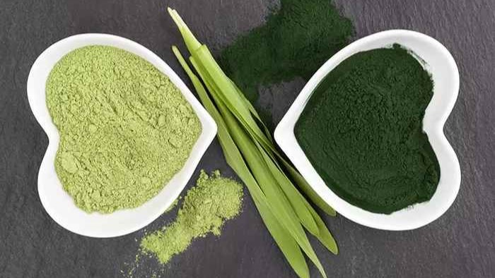 Spirulina vs Chlorella: Which Should You Take?