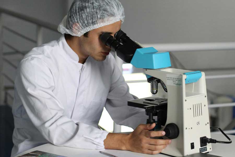 NMN and NR: The NAD+ Precursor Supplements Backed by Longevity Research