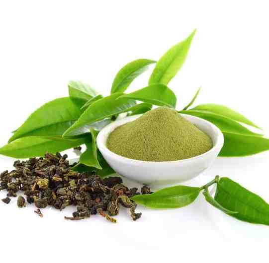 Green Tea Extract