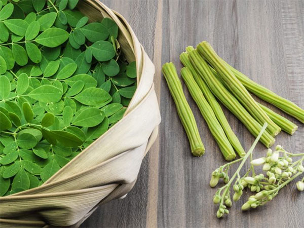 Moringa